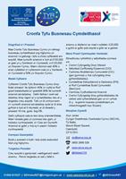 Taflen ffeithiau prosiect